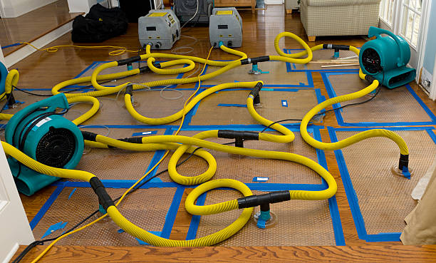 Professional Structural Drying And Dehumidification technician working in Kealakekua, HI